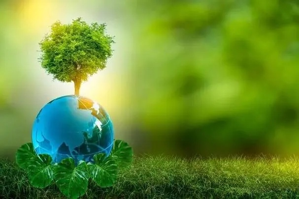 u=2983445510,808054935&fm=253&fmt=auto u=2983445510,808054935&fm=253&fmt=auto