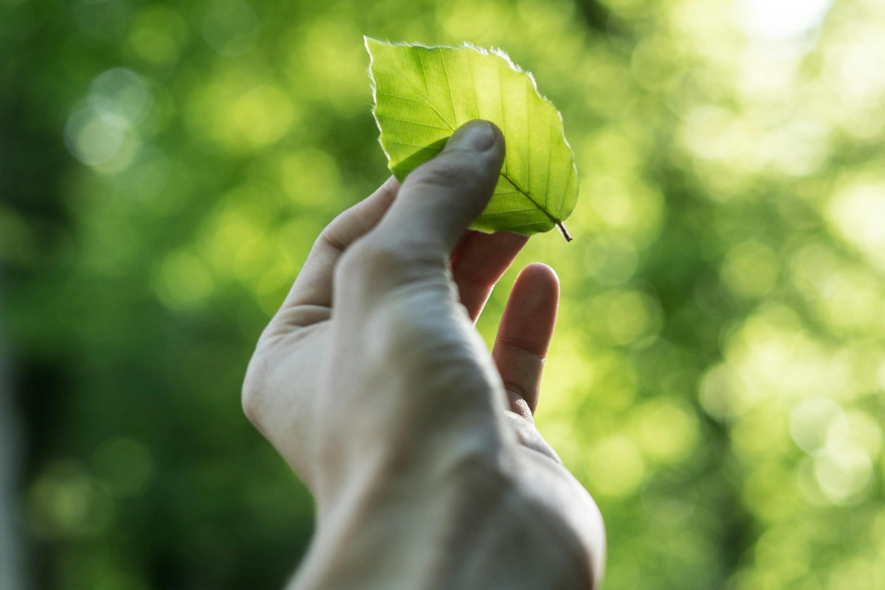 tobias-weinhold-hXPomXrpUP0-unsplash tobias-weinhold-hXPomXrpUP0-unsplash